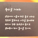 진심을담은요리