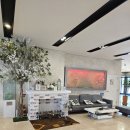 오아시스엘림 이미지