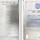 BICHON KOREA 이미지