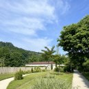 평정심 | 담마코리아 위빠사나 명상 10일코스 후기 평정심에 이르는 기술