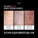 가인에스테틱 네이버블로그