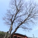 유산주유소 | 창원 의림사 - 창원(마산) 진전 여항산에 통일신라 때 위웅대사가 창건했던 절집^^