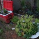 물푸레 북카페 이미지