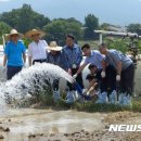 농협경제지주 종돈개량사업소 뉴시스