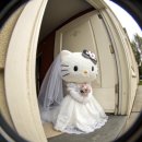에르시 | [군산본식DVD, 아이폰스냅] 엘리에르 계약 후기(짝꿍할인코드 공유)