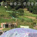 금수강산문화공원야영장(3) 네이버블로그