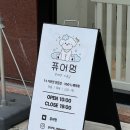 멍둥이 | < 상무지구 > 비숑 미용 솔직후기 " 퓨어멍 " 강아지 미용