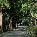 조곡동 둑실공원 이미지