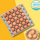 계란은삶의의미를찾는 | 무정란 유정란 차이 계란 특란 무항생제 HACCP인증! 당일산란 후기, 신선함이 남다른 이유