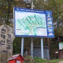 영동군 관광안내소 이미지