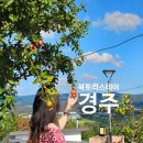 북토리스테이