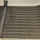 청소쟁이 이미지