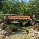 안동무궁화 | 안동 1회차 후기