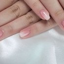 로지퍼플