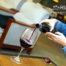 와인나무 이미지