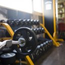 바디스토리 이미지