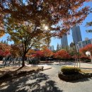 연꽃어린이공원 이미지