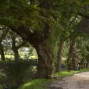 삼태경로당 이미지