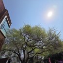 토정로 | 서울 양화진 산책: 절두산 순교성지에서 만난 봄, ‘팔마를 든 예수상’