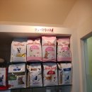 웰니스동물병원(고잔점) 이미지