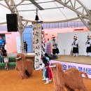 시립박물관 야외공연장 이미지