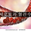 <5월 4일 >혈소판과 세로토닌 이미지