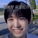 새일목장 | 핫 써머의 남미새일상