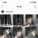 수원-0833 이미지