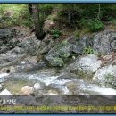 태백고원자연휴양림 이미지