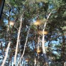 일지 브레인 아트 갤러리 카페 이미지