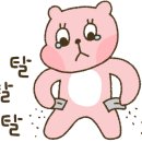 쇠오름참숯한우정육식당 이미지