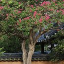 맑은동산단기보호센터 이미지