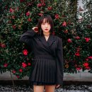 펀치 카카오 검색결과