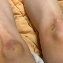 남원산림조합 | 나이 반납할게요