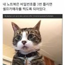 비밀