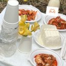 통일티브이(주) | [N돌핀] 농협은행 N돌핀 활동 후기