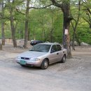 정카클리닉 이미지