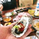 금마수산 이미지