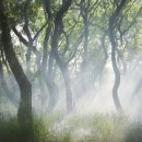 유리마을회관 이미지