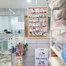 펫존&견생컷 네이버블로그