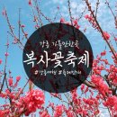 장덕2리 | 강릉 축제 : 2019 장덕리 복사꽃축제 다녀온 후기