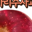 삼정농원 이미지