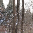 이고이즘 이미지