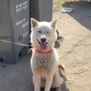 문경가축병원 이미지