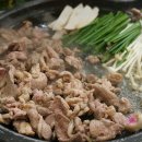 아우성생오리 이미지