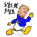 BMW 알나인티 레이서 - (브금有) 이미지