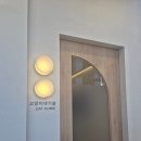 나무동물병원 | 포항 초곡나무동물병원 찐후기