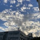 2024 너드커넥션 콘서트 후기