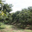 연세농장 이미지