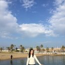 야호노래천국